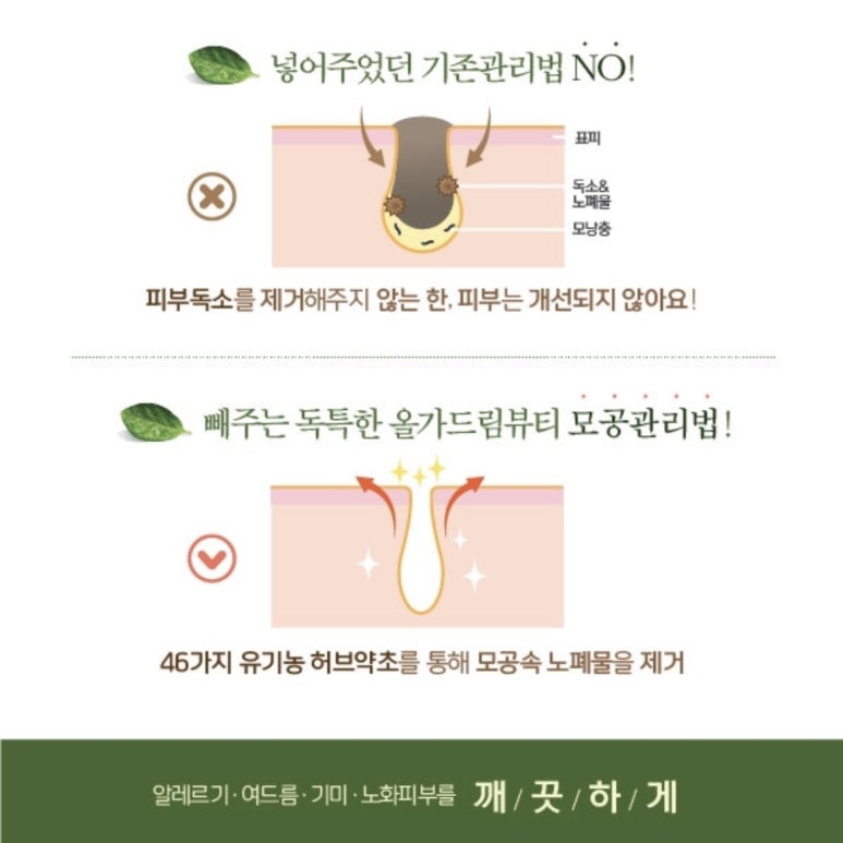 올가드림뷰티 이미지