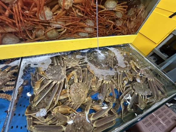 대성수산14호 이미지