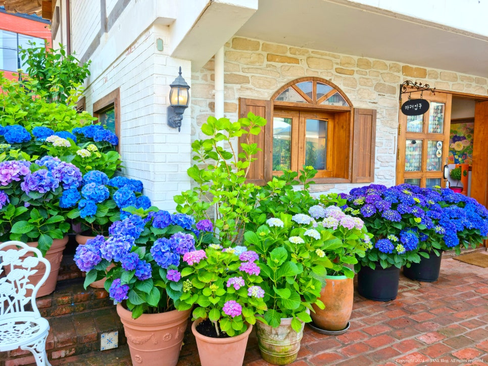 Flowershop 이미지