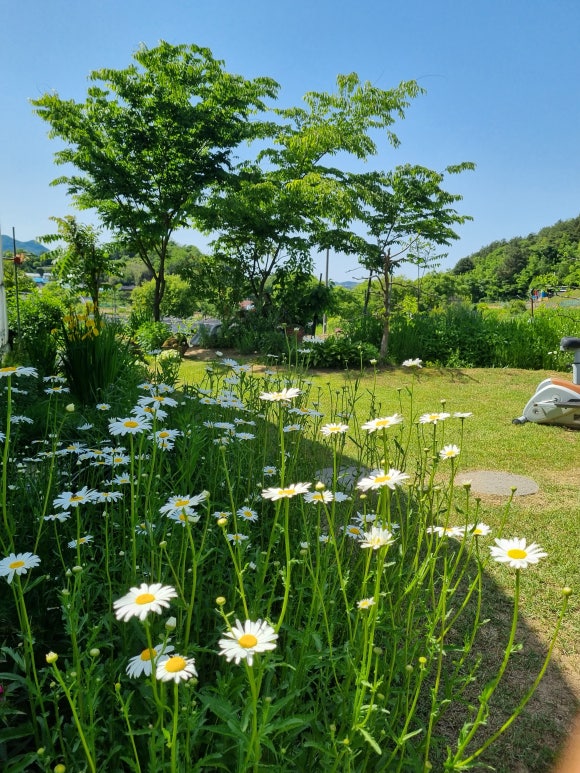 서당골농원 이미지