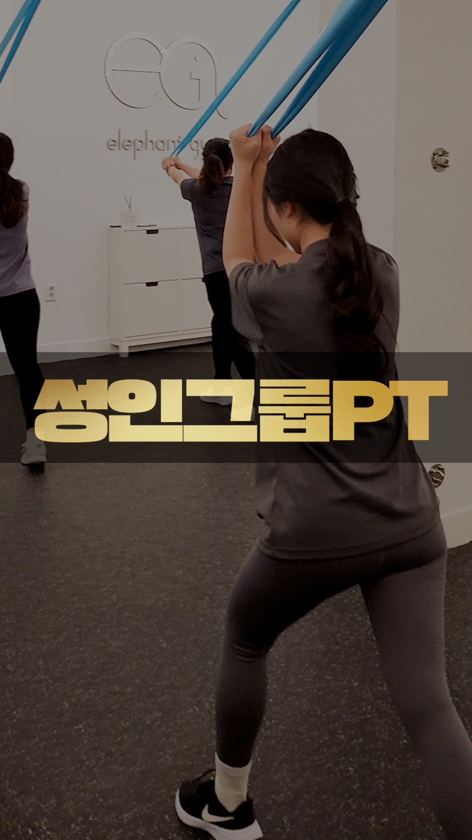 운동하는코끼리 이미지