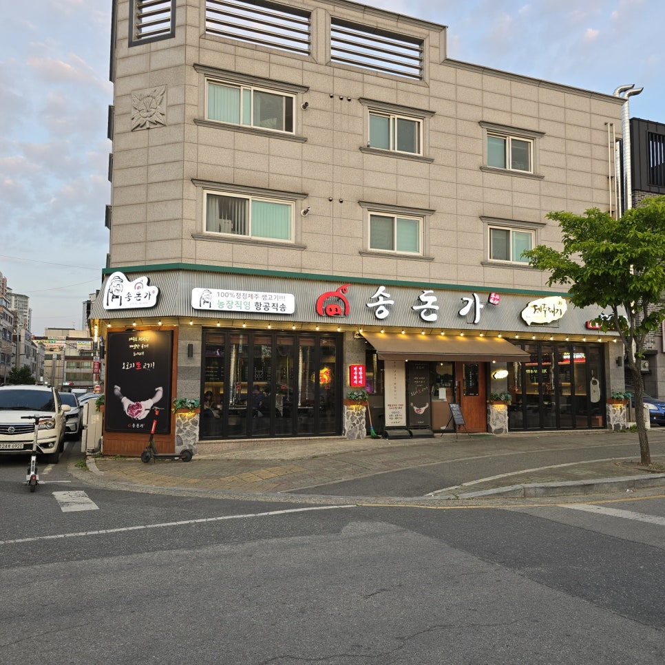 송돈가 이미지
