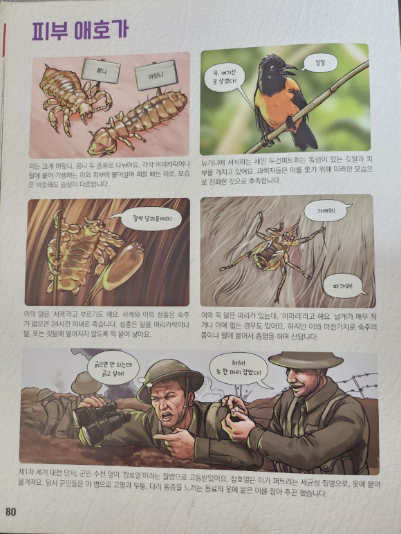 카피루스 이미지