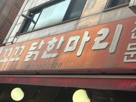 꼬꼬닭/안녕닭 이미지