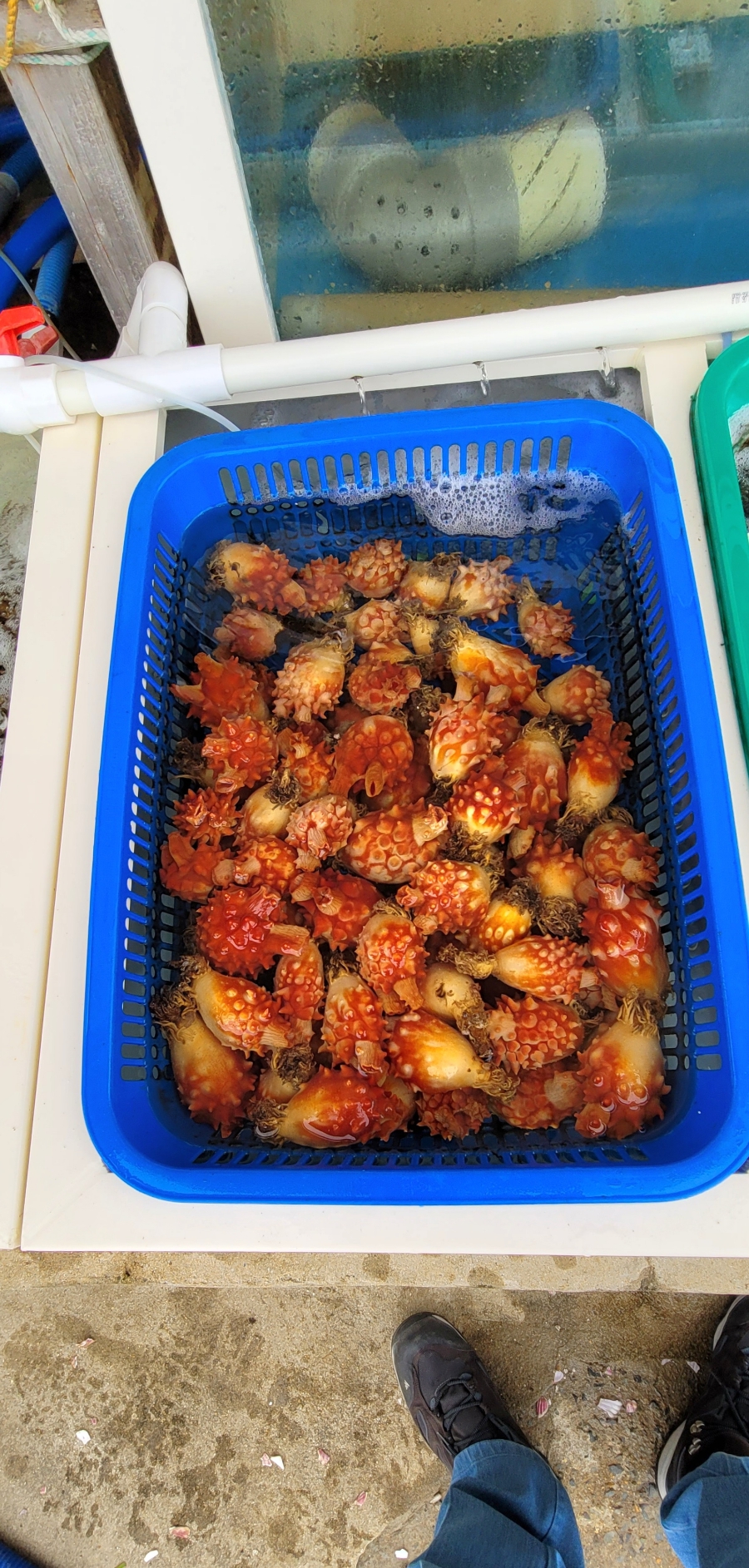항포구횟집 이미지