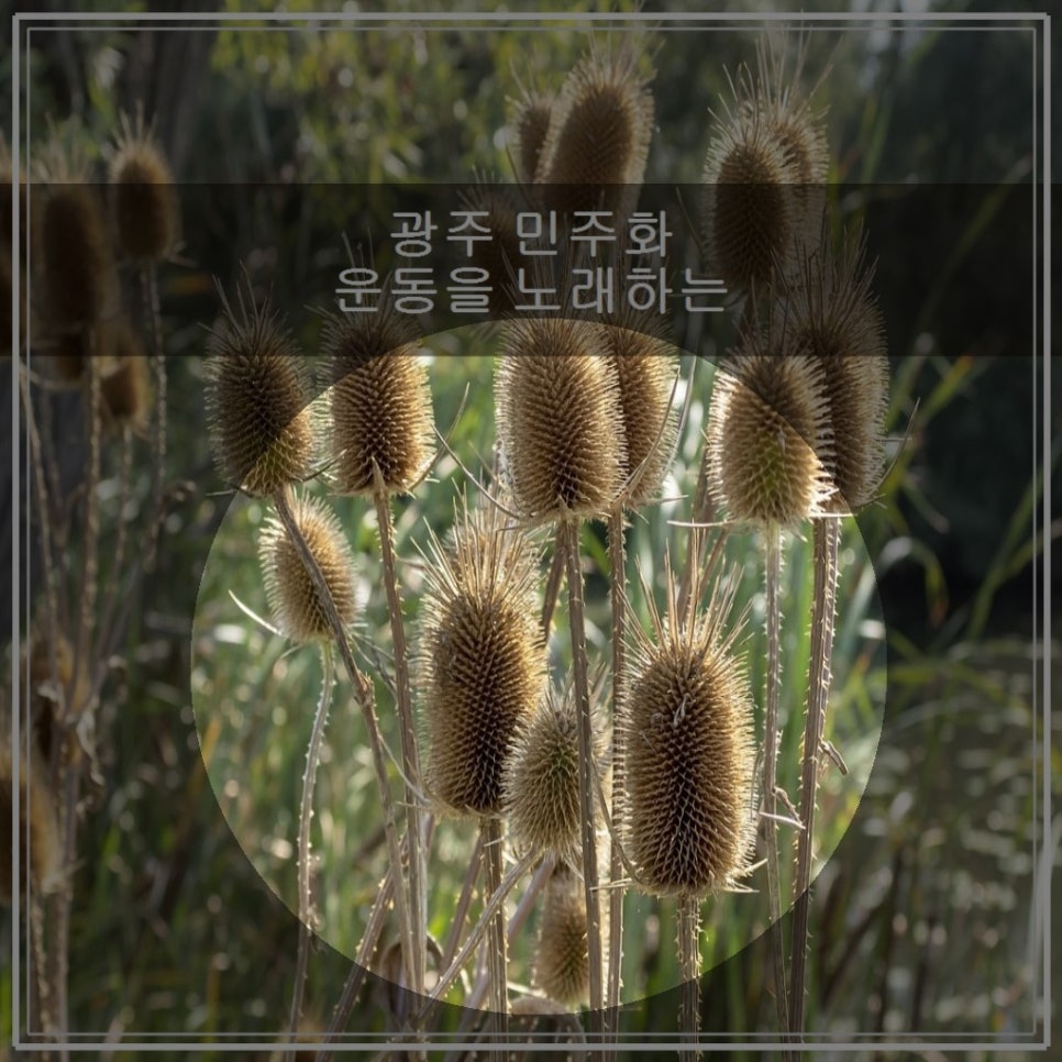 민들레소극장 이미지