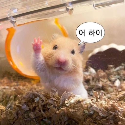 포레스트카라반파크 이미지