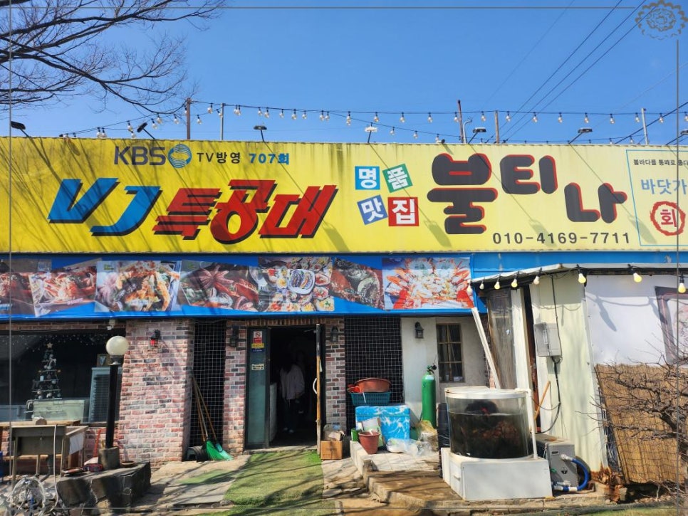 해품조개 이미지