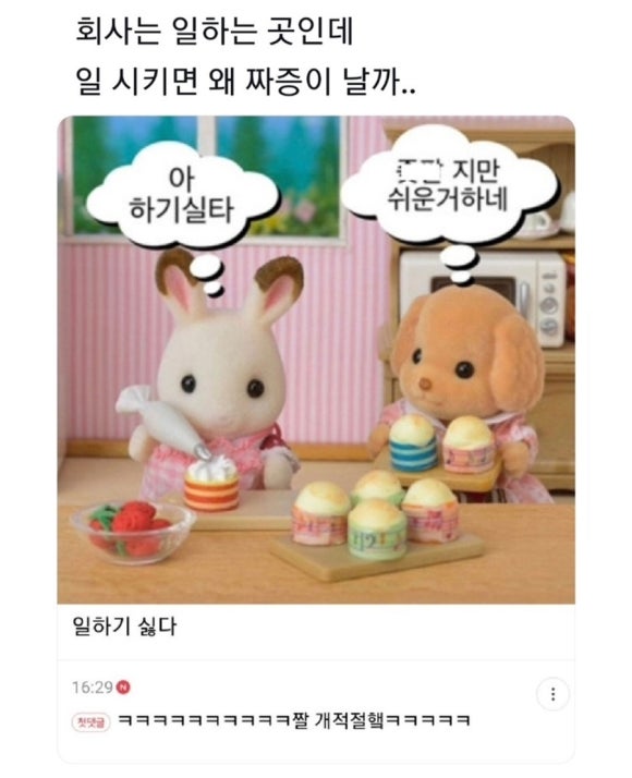 호이호이 이미지