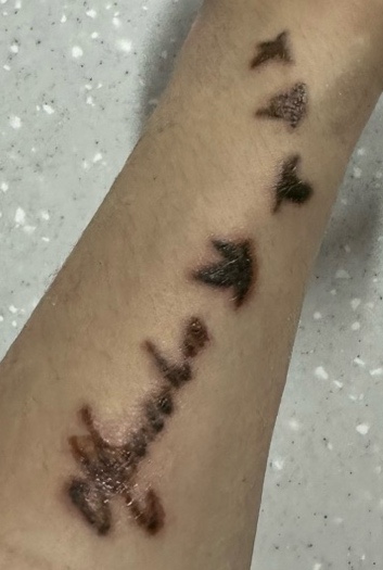 내포메디컬의원 이미지