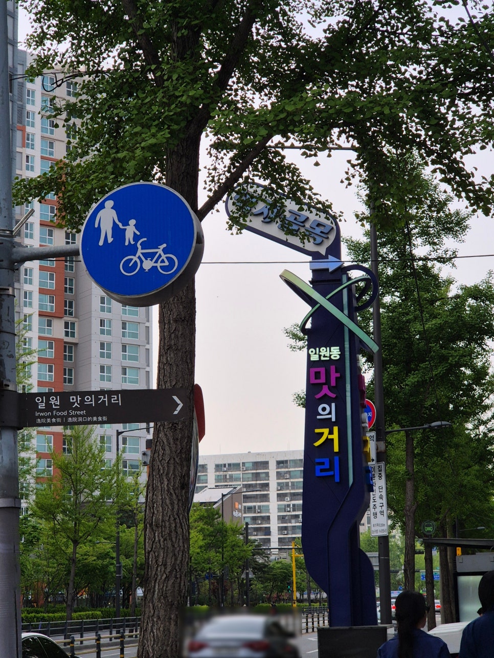 사이야 강남 일원점 이미지