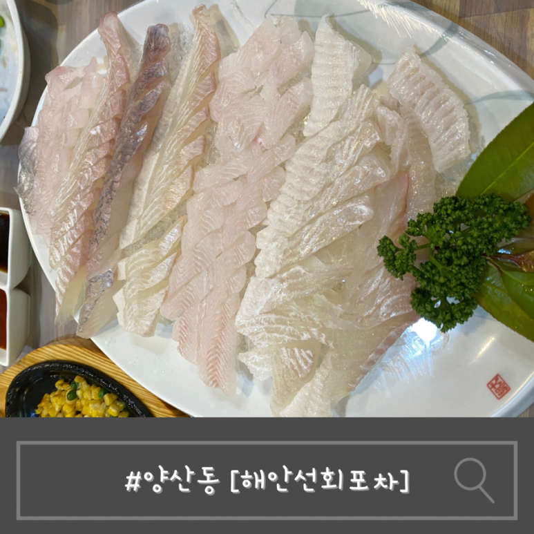해안선회포차 이미지