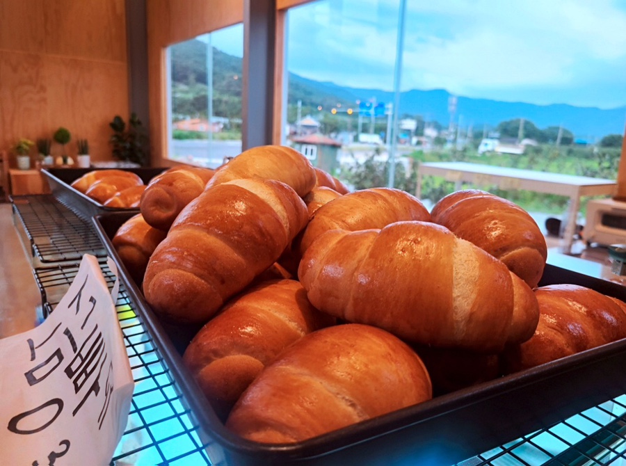 빵동산 이미지