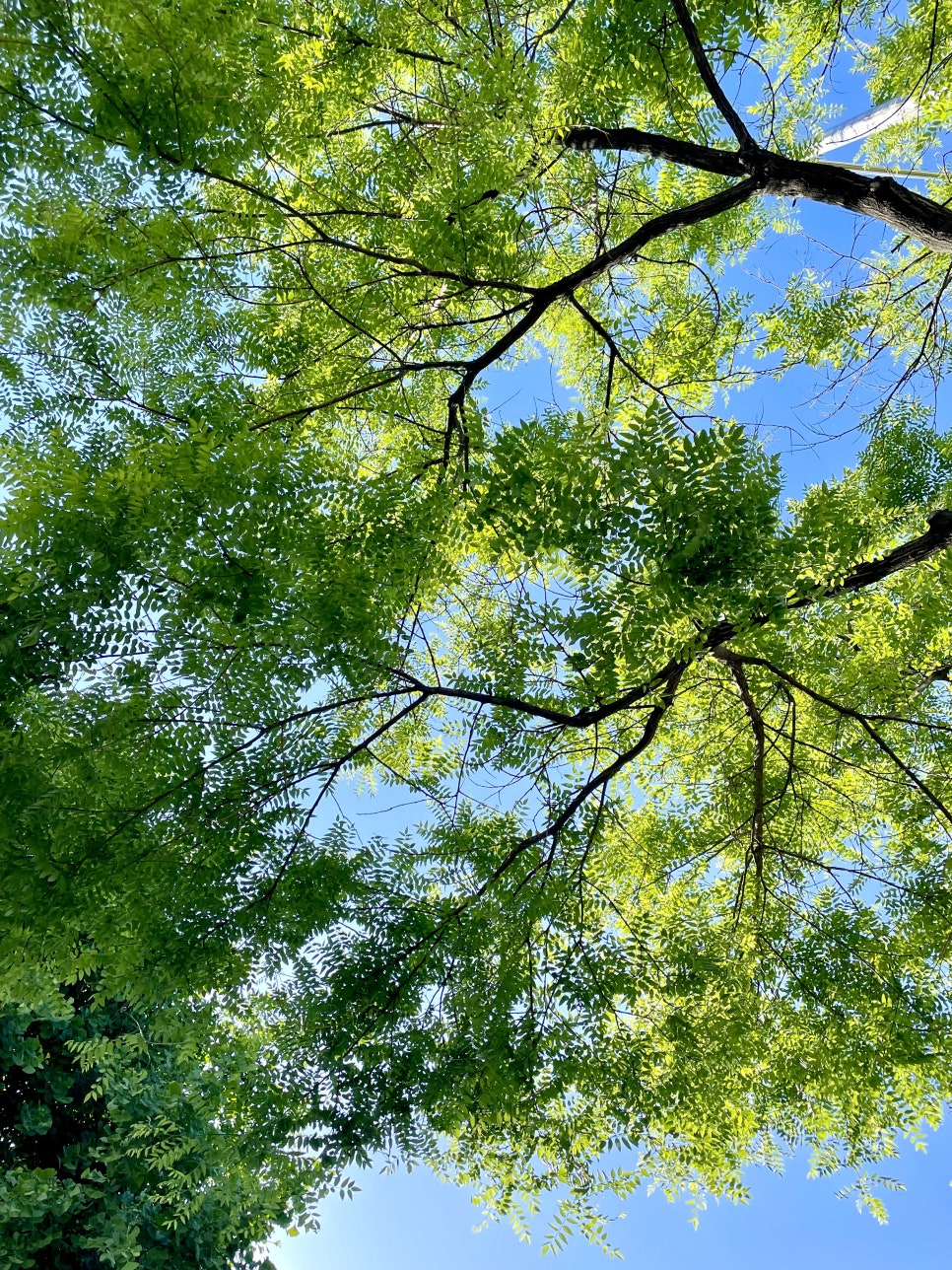 옥경이 순대국 이미지