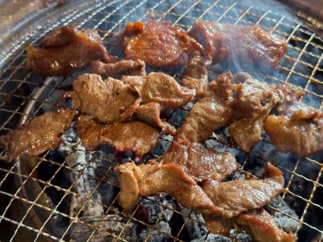 갈매기 학교 이미지