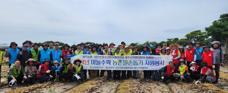 제주명과 이미지