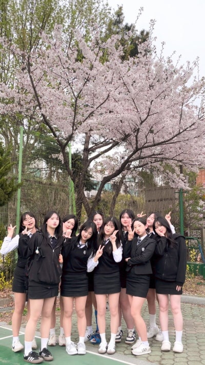 오에이 이미지