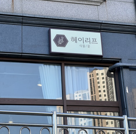 헤이리프 이미지