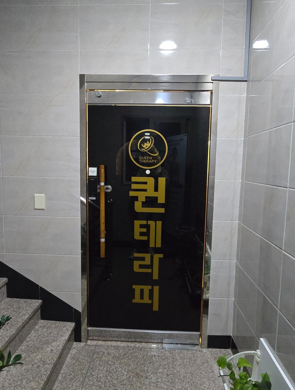 퀸테라피 이미지