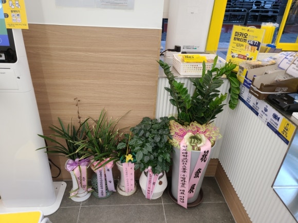 빽다방 영등포 도림점 이미지