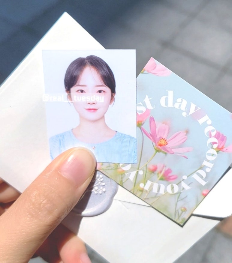 다인어리 이미지