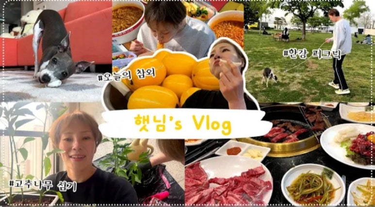 목화정육식당 이미지