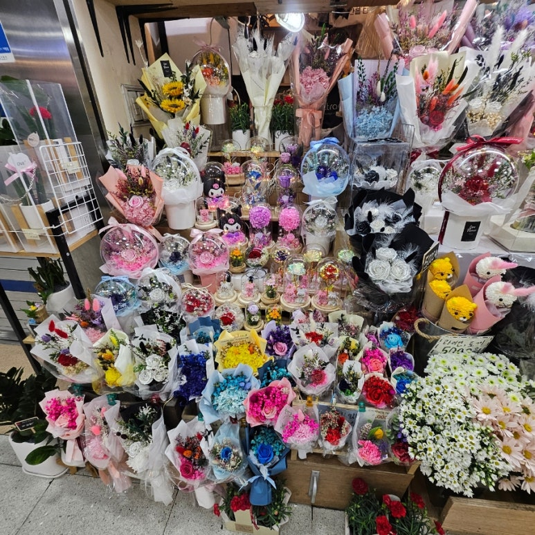 카라샾 이미지
