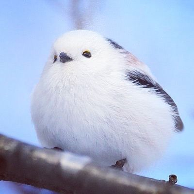 빅디자인 이미지