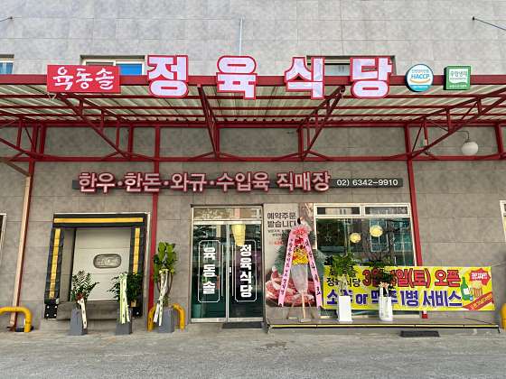 육동솔 이미지