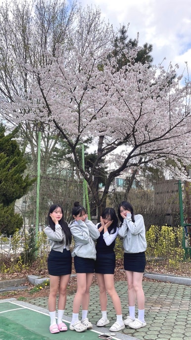 오에이 이미지