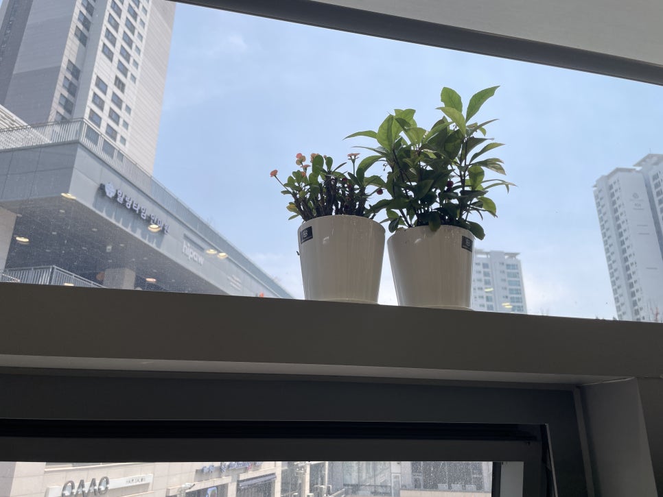 팔레트헤어살롱 이미지