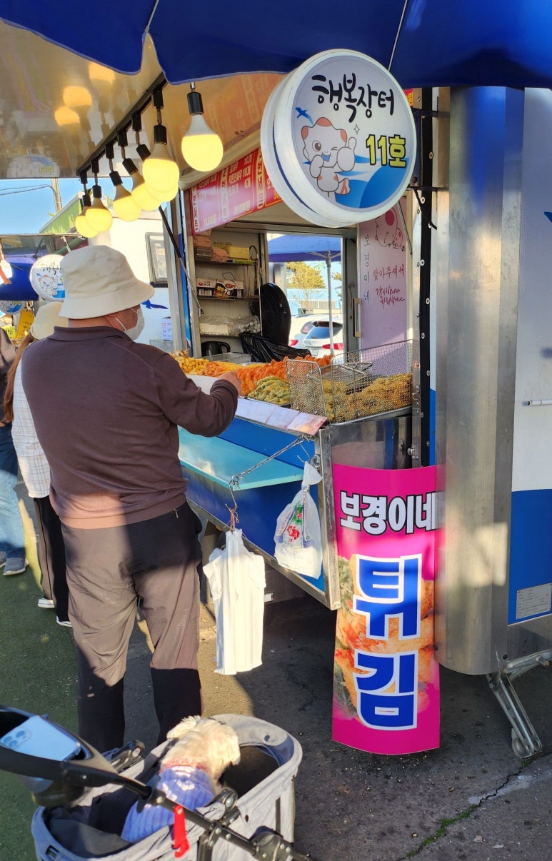 장터11호 이미지