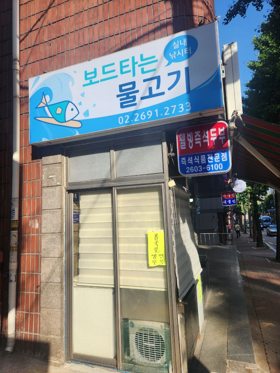 보드타는물고기 이미지