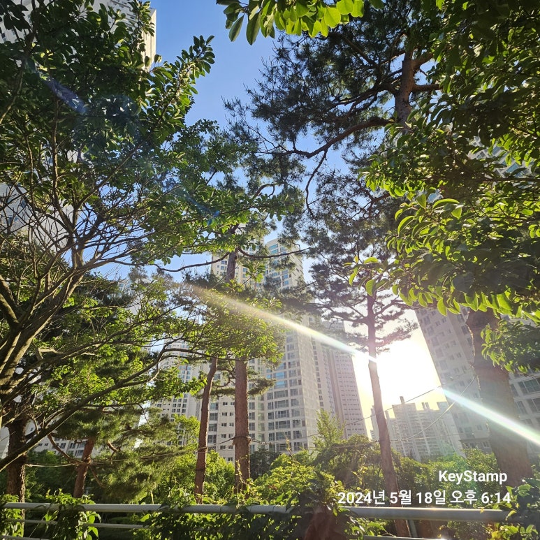 카이저화명마트 이미지