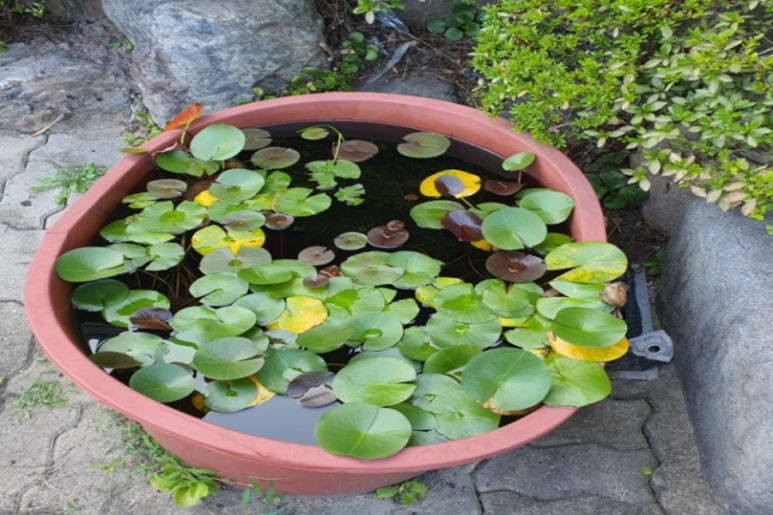 경주민물매운탕 이미지