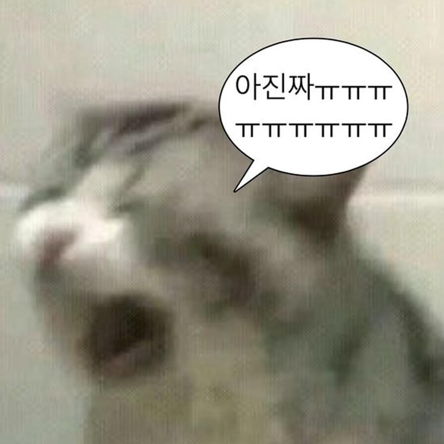 목화상점 이미지
