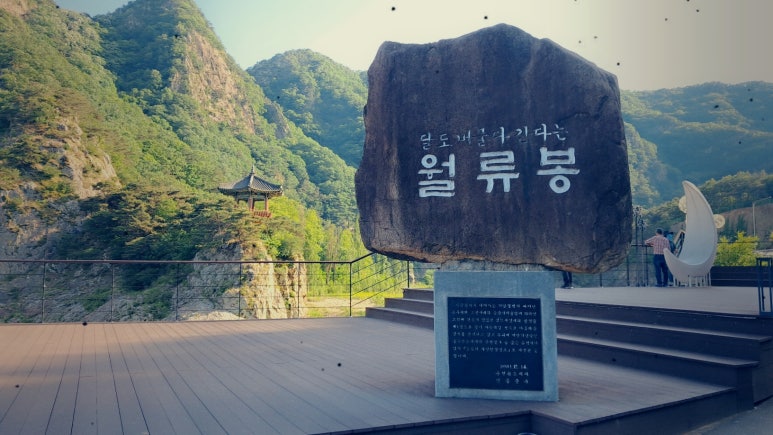 영동빈대떡 이미지