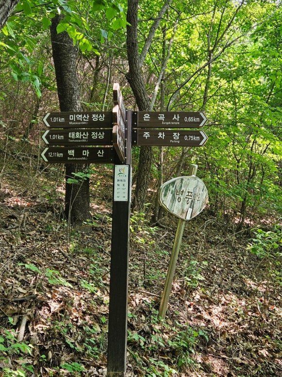 강산크린 이미지