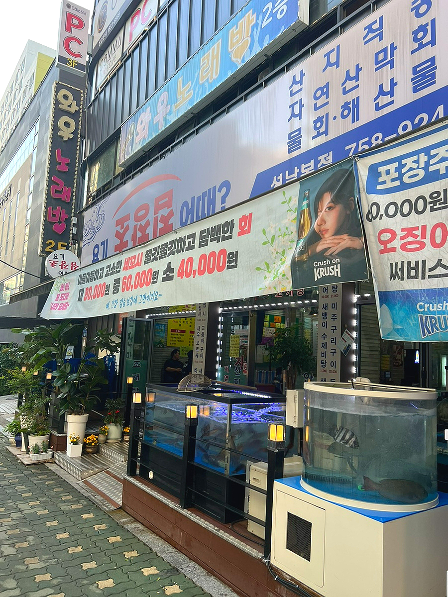 요기초장집어때 이미지