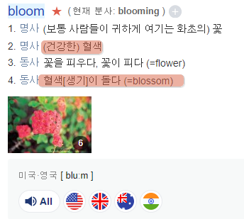블루밍캠프 이미지