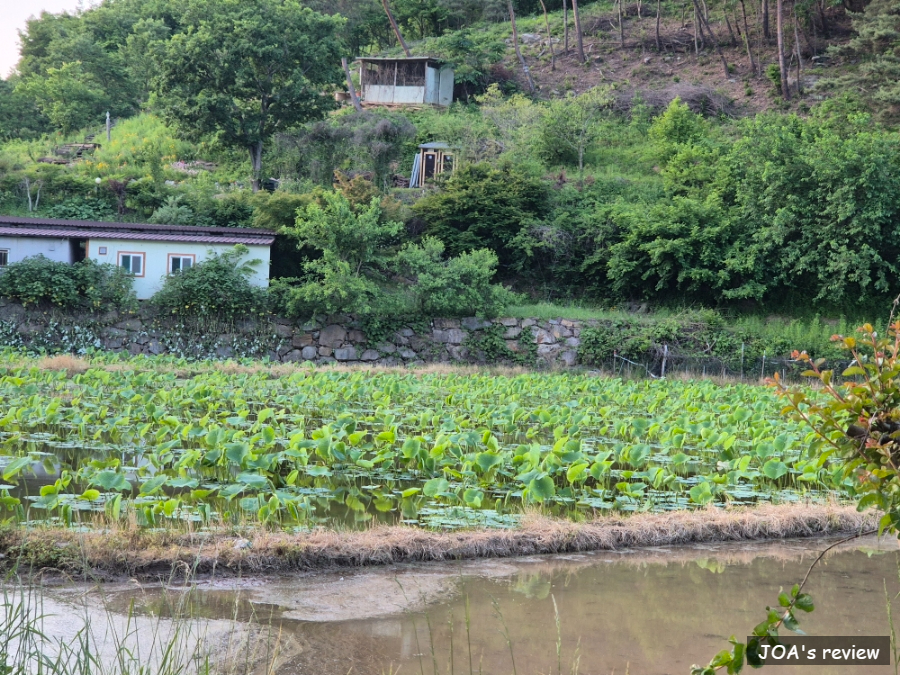 연꽃자리 캠핑타운 이미지