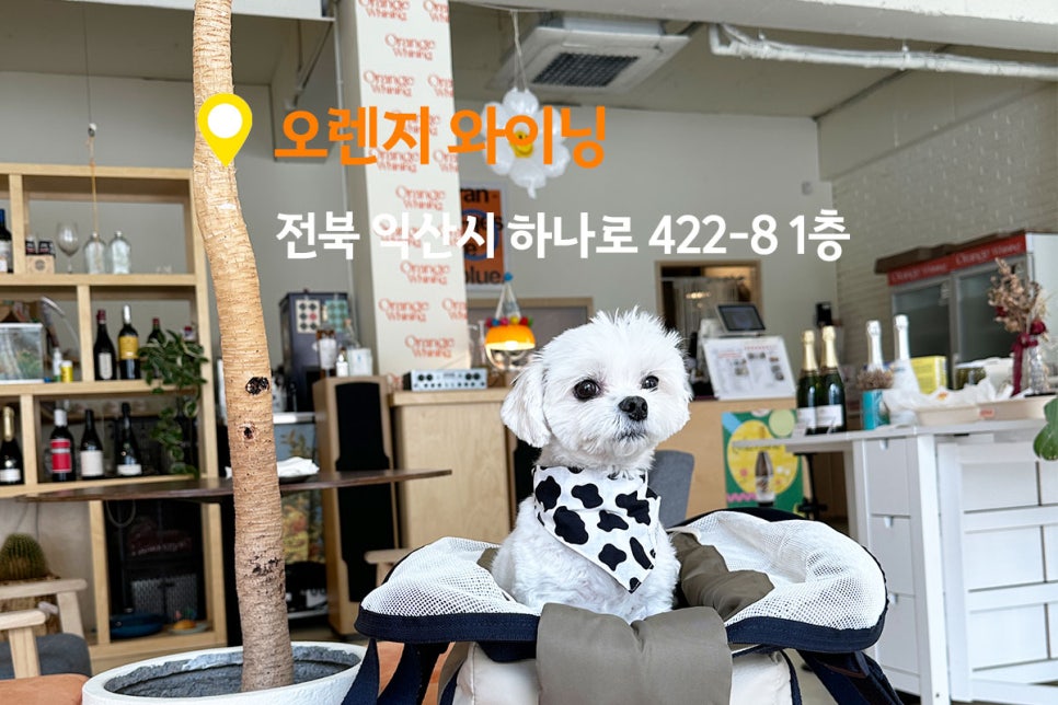 오렌지와이닝 이미지