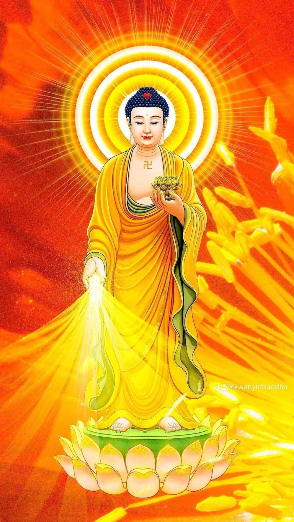 수무 이미지