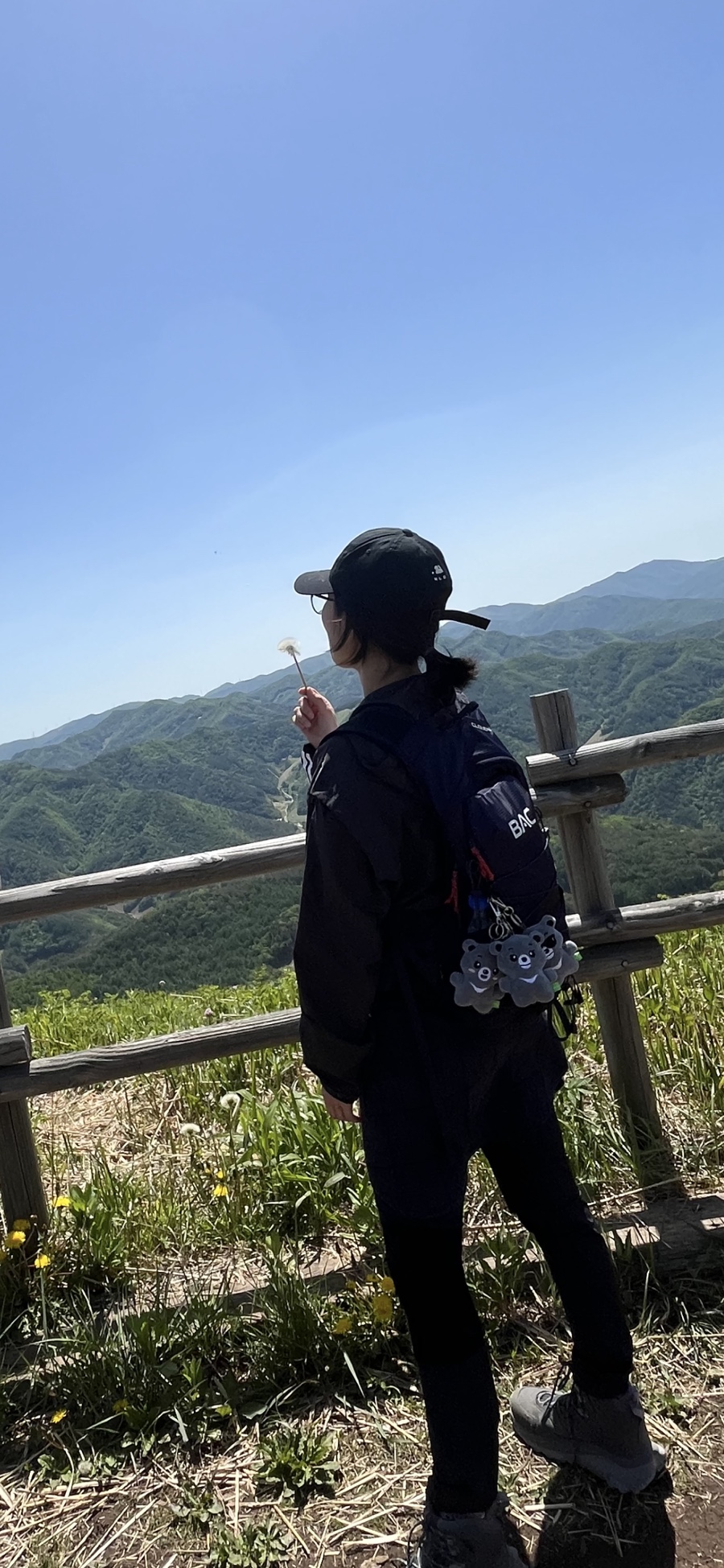 푸르릇 이미지