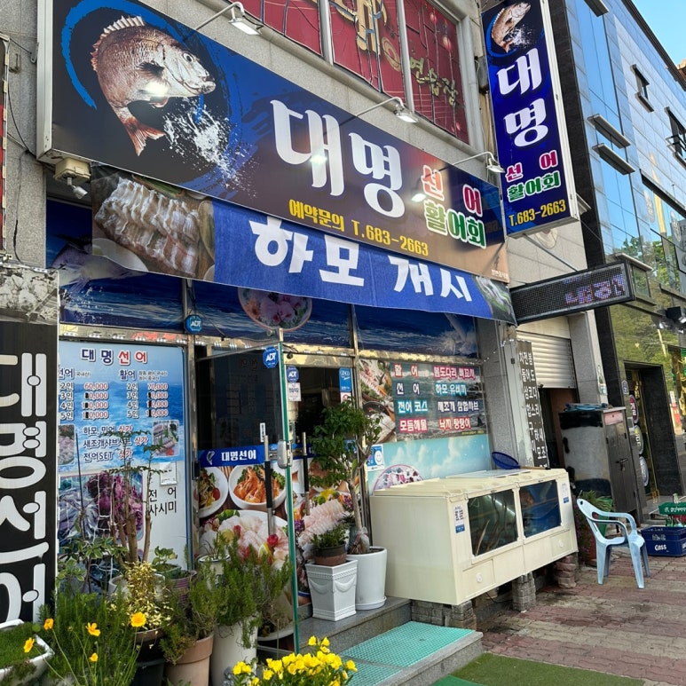 선어야술이야 이미지