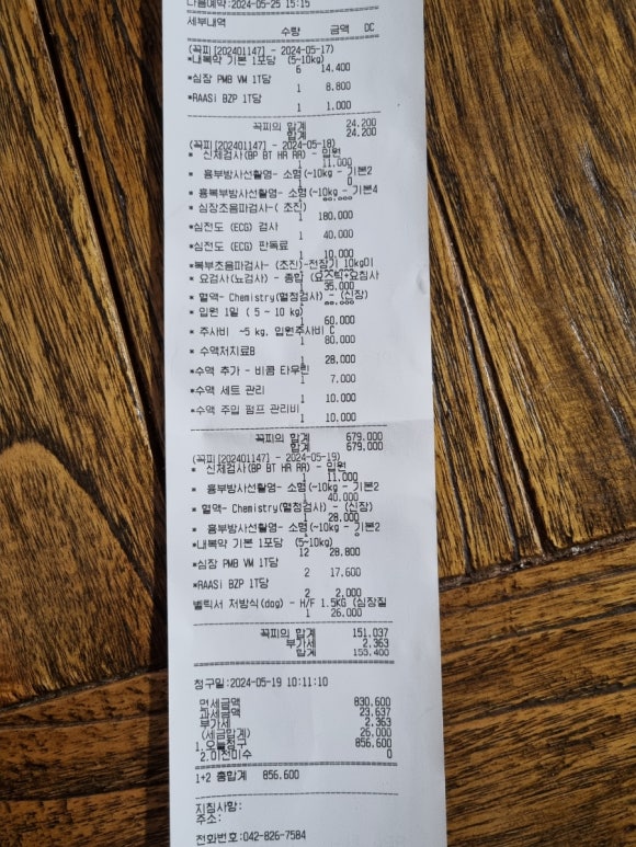꼭찌 이미지