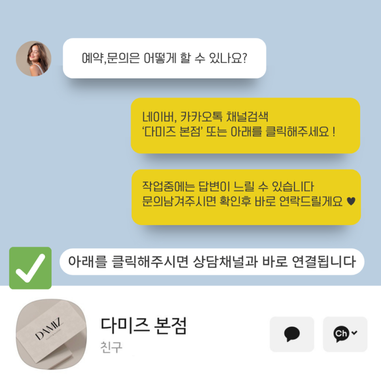 다미즈(DAMIZ) 이미지