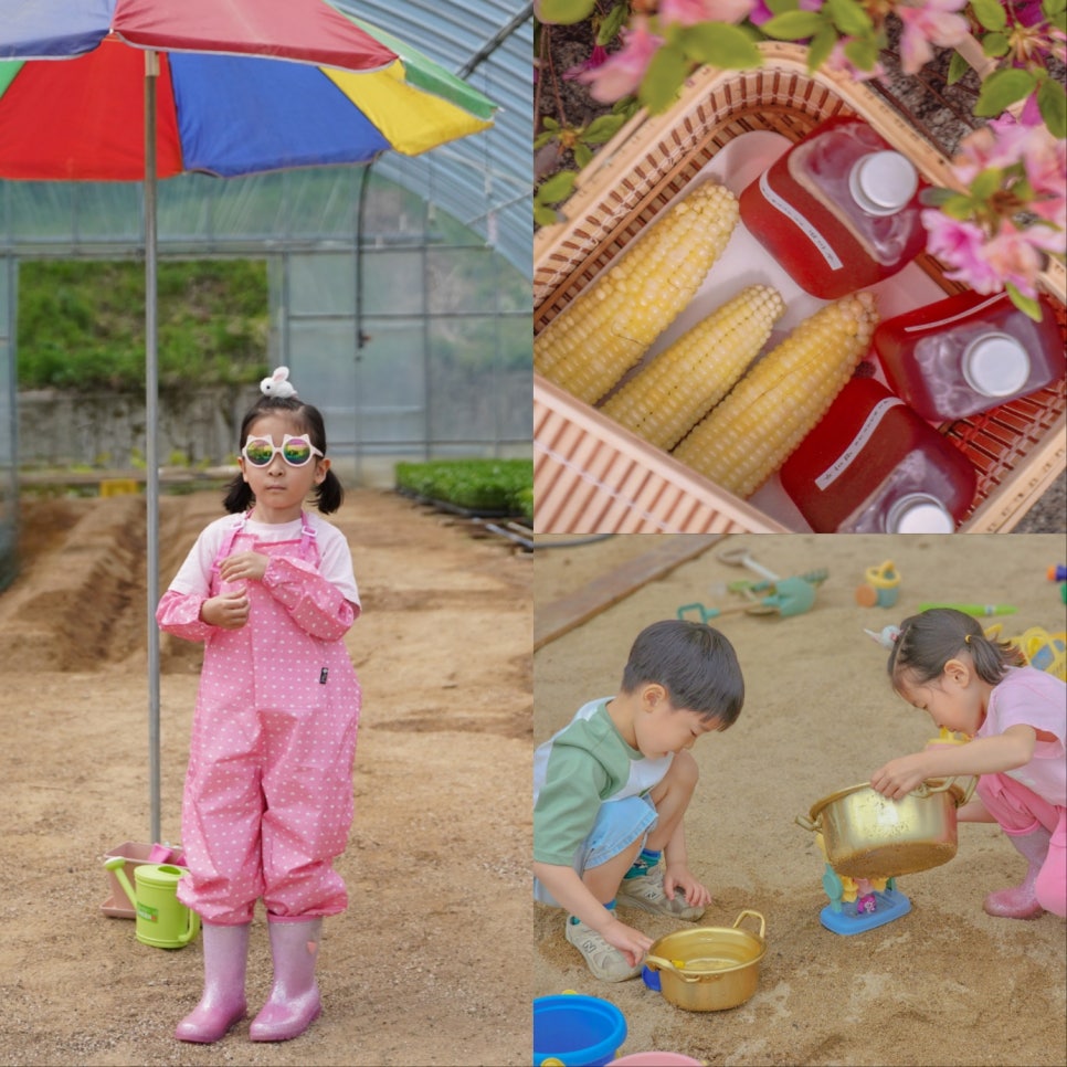 오대산힐링빌리지 이미지