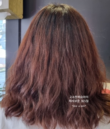 필포유헤어 이미지