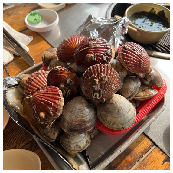 꽉찬조개 이미지